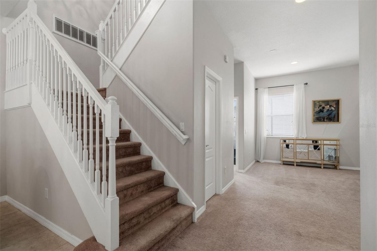 20008 Bluff Oak Boulevard, Tampa, FL 33647 Photo