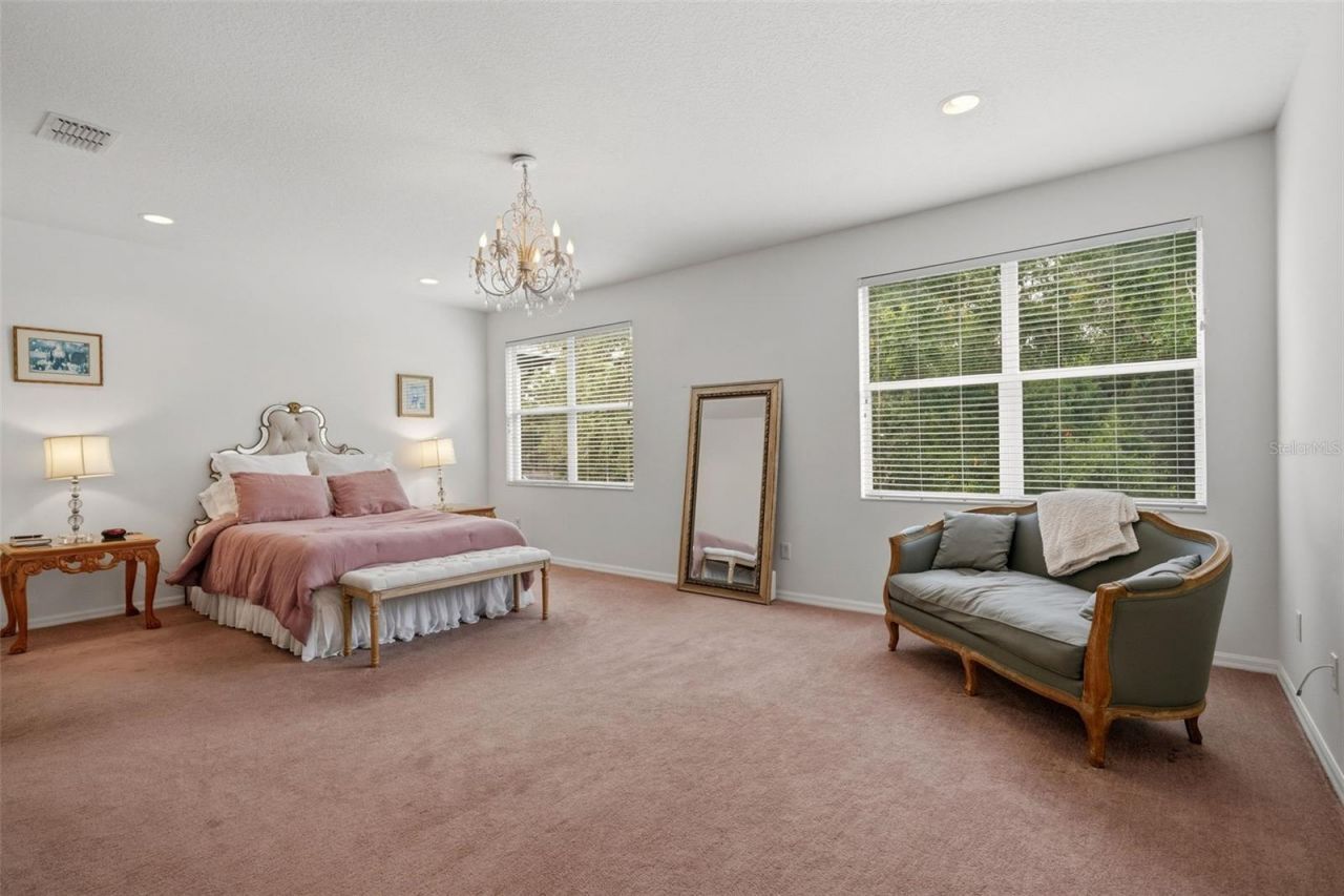 20008 Bluff Oak Boulevard, Tampa, FL 33647 Photo
