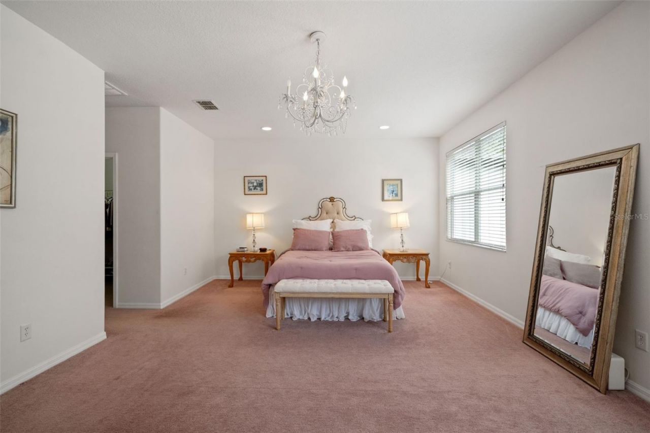 20008 Bluff Oak Boulevard, Tampa, FL 33647 Photo