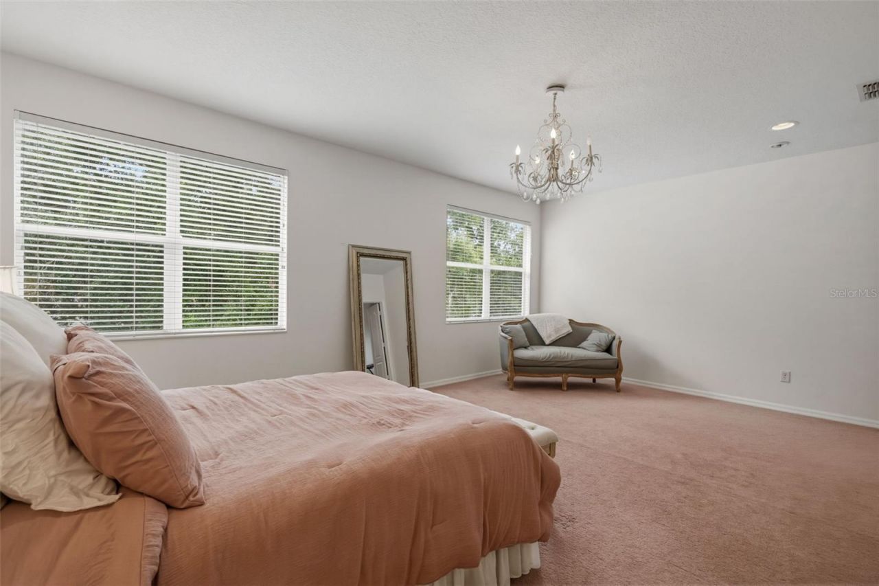 20008 Bluff Oak Boulevard, Tampa, FL 33647 Photo