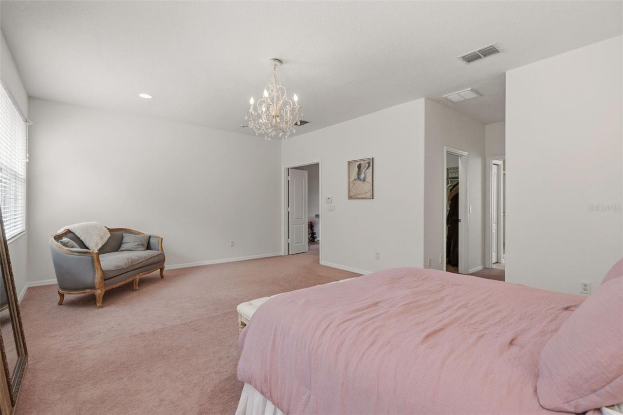 20008 Bluff Oak Boulevard, Tampa, FL 33647 Photo