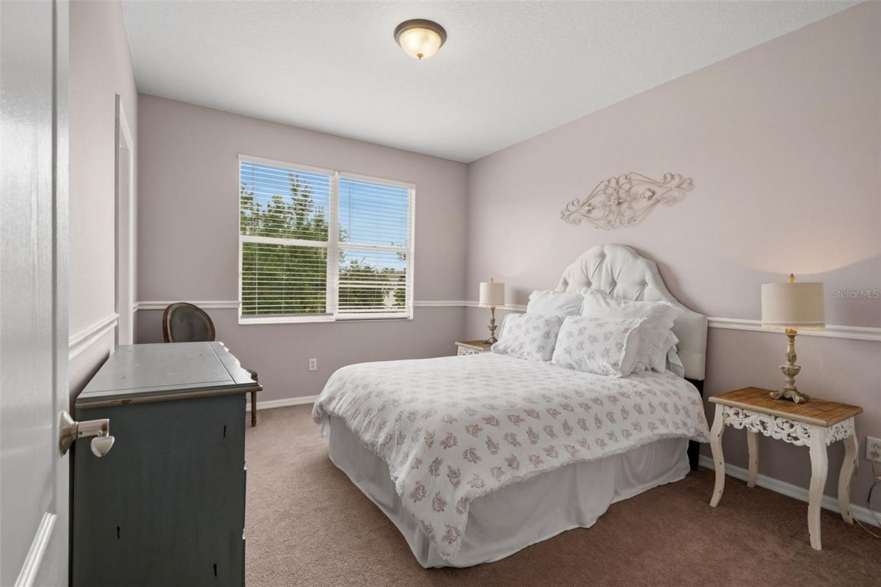 20008 Bluff Oak Boulevard, Tampa, FL 33647 Photo