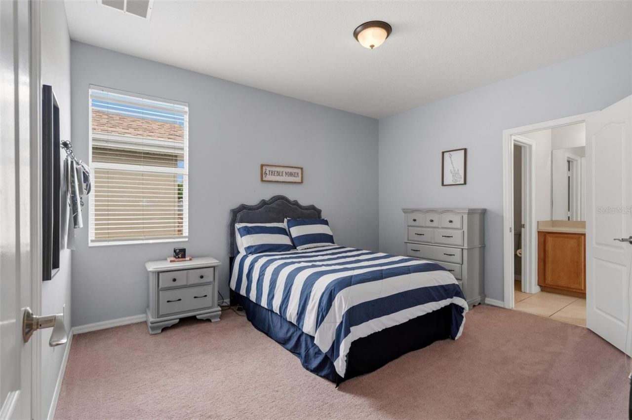 20008 Bluff Oak Boulevard, Tampa, FL 33647 Photo