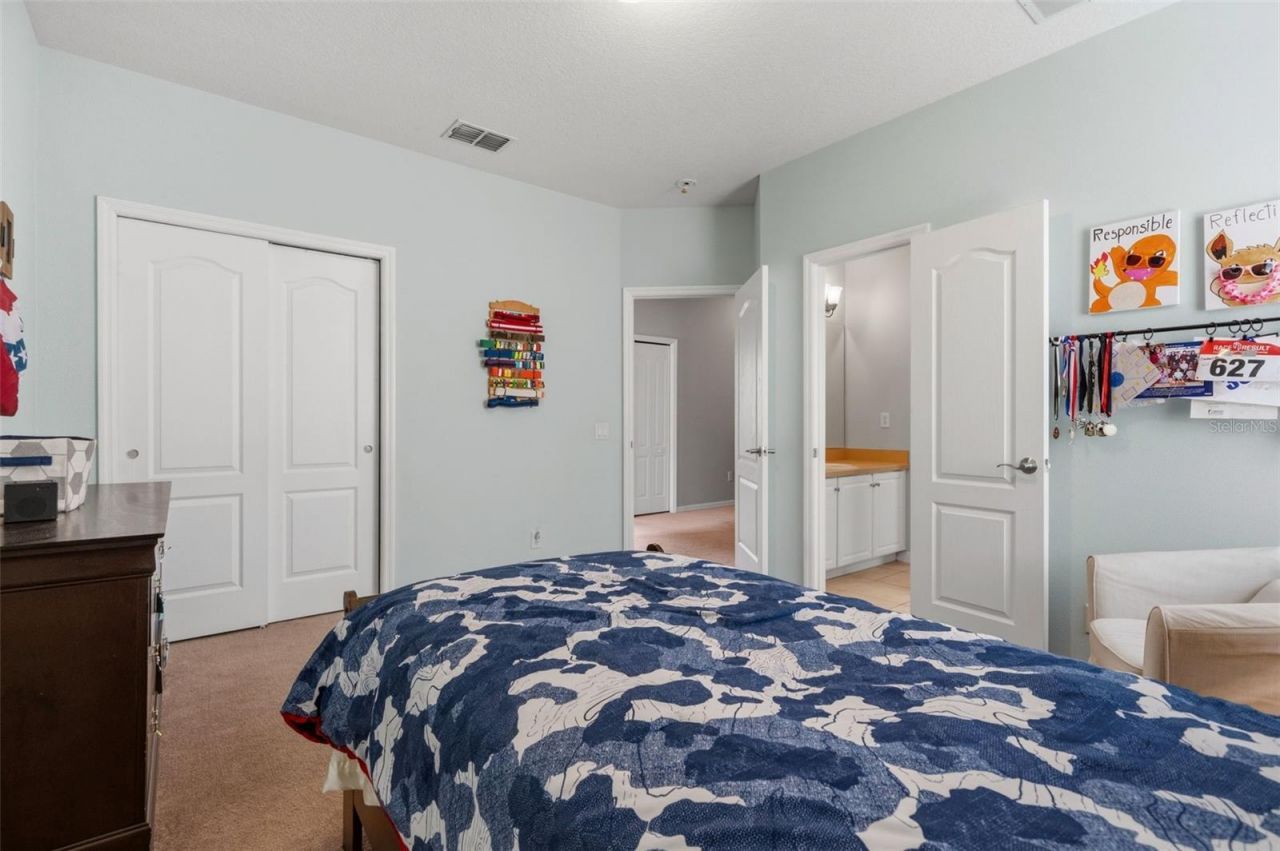 20008 Bluff Oak Boulevard, Tampa, FL 33647 Photo