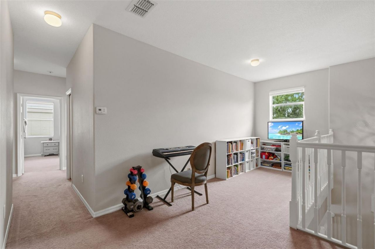 20008 Bluff Oak Boulevard, Tampa, FL 33647 Photo