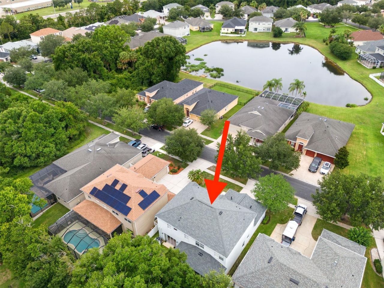 20008 Bluff Oak Boulevard, Tampa, FL 33647 Photo