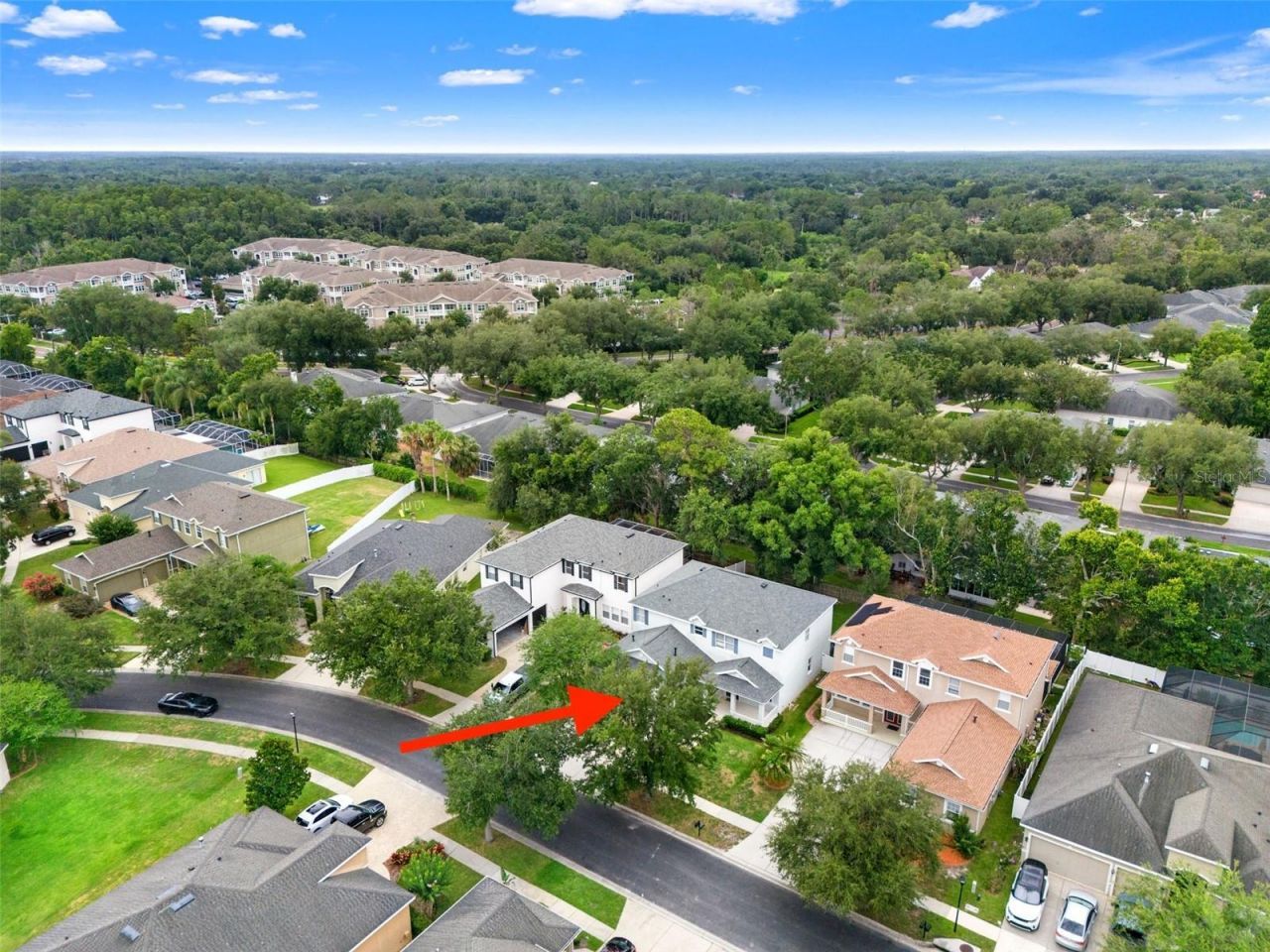 20008 Bluff Oak Boulevard, Tampa, FL 33647 Photo