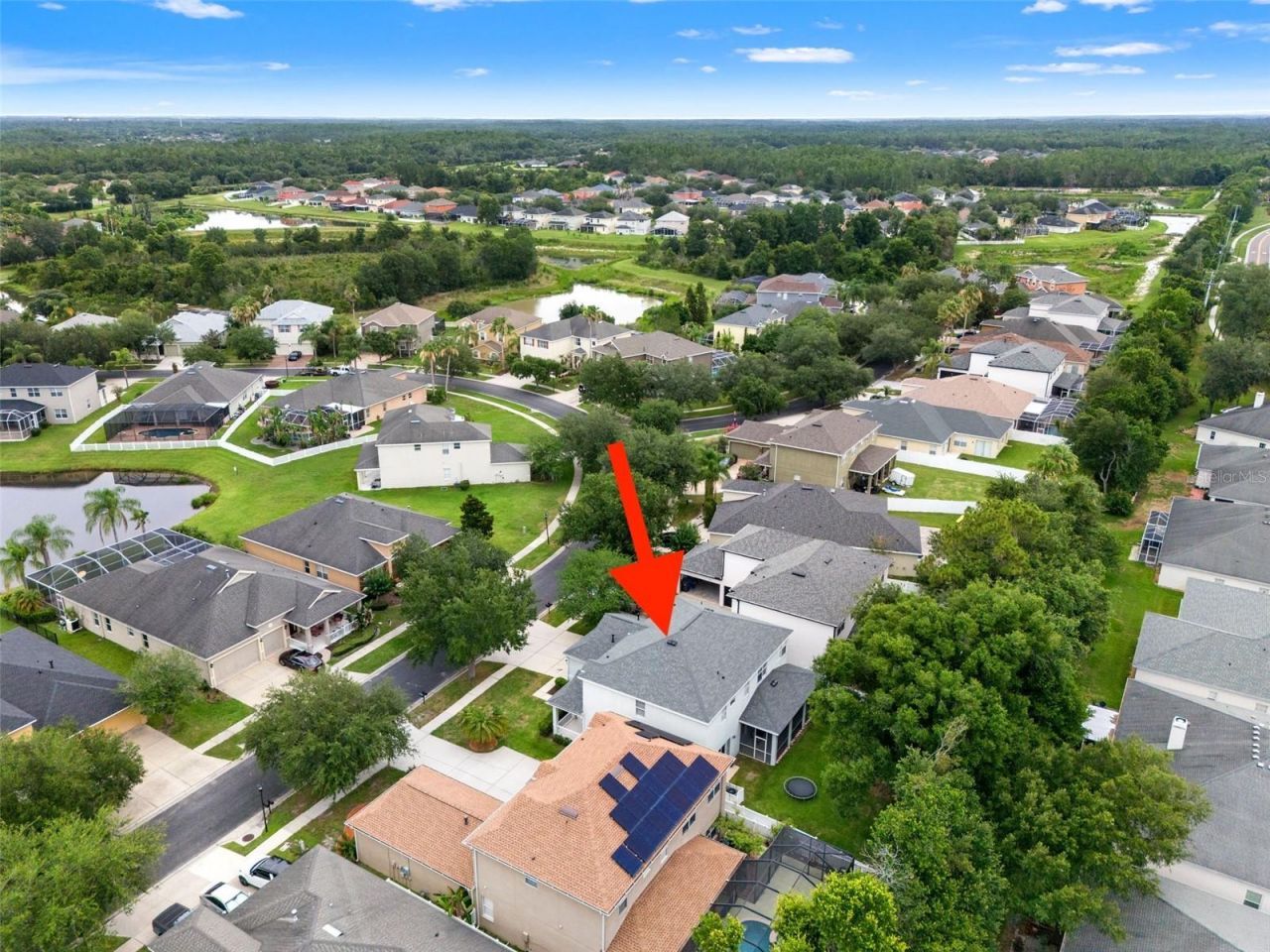 20008 Bluff Oak Boulevard, Tampa, FL 33647 Photo