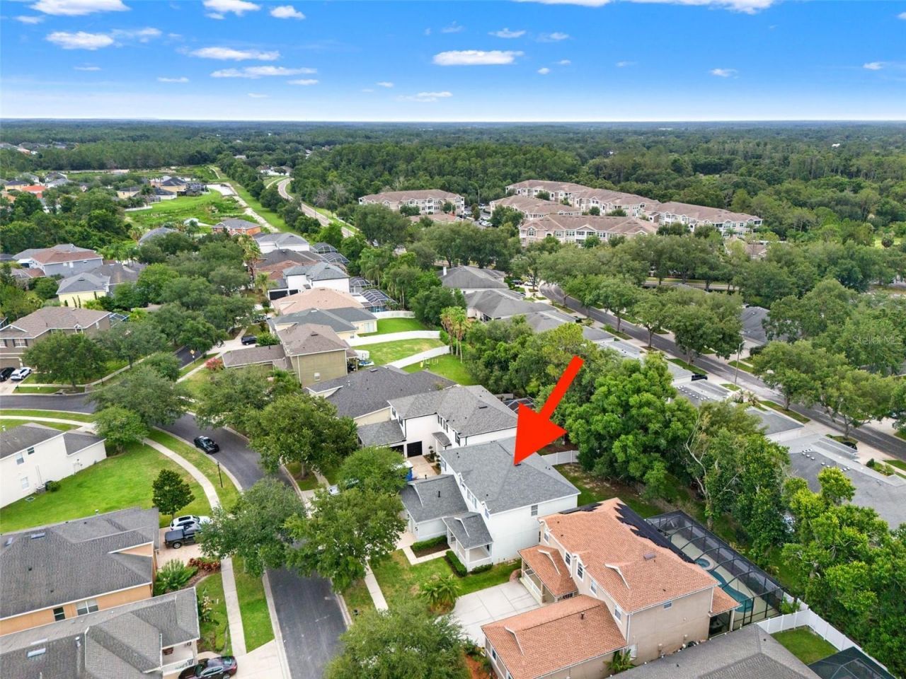 20008 Bluff Oak Boulevard, Tampa, FL 33647 Photo
