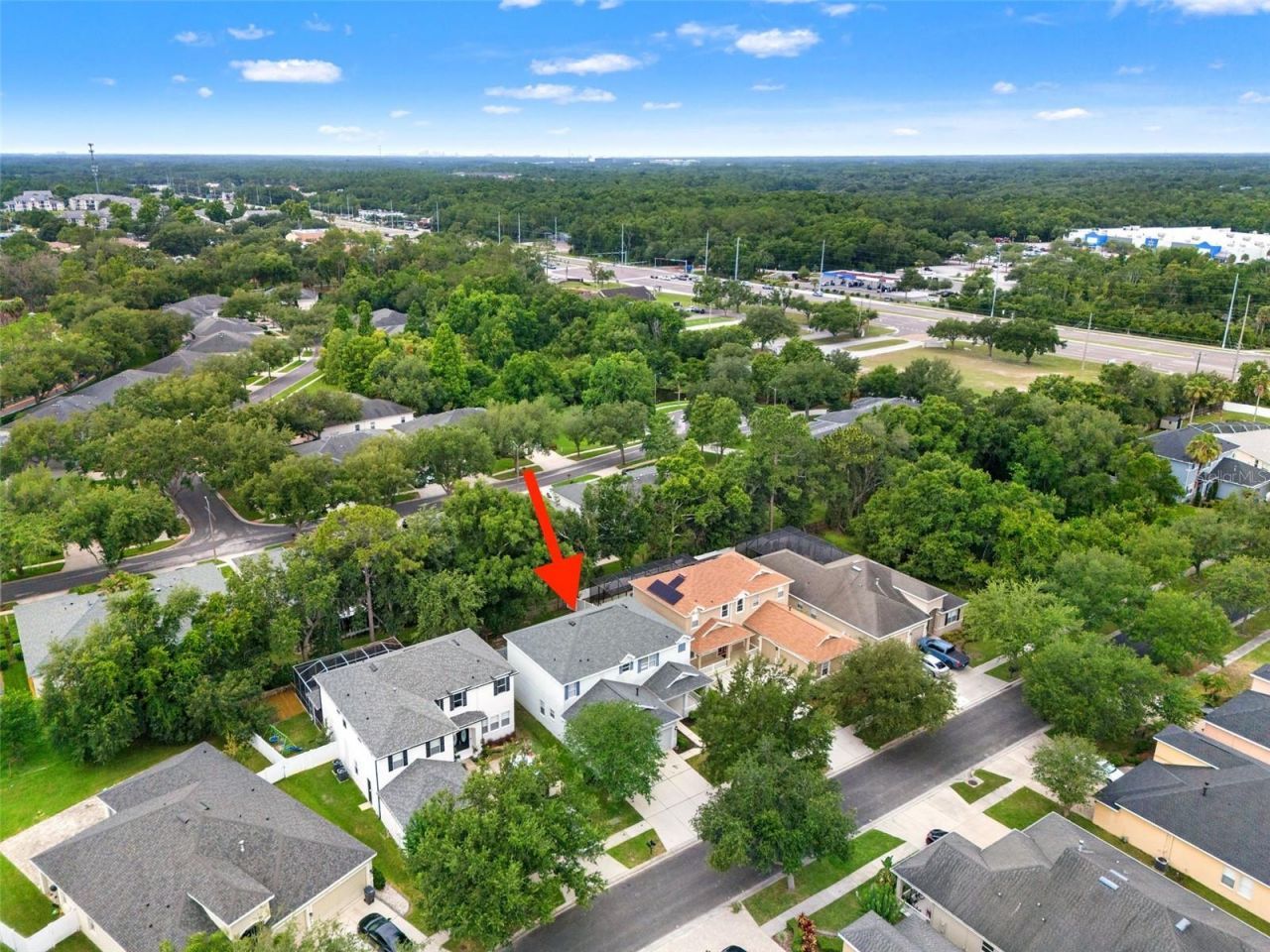 20008 Bluff Oak Boulevard, Tampa, FL 33647 Photo