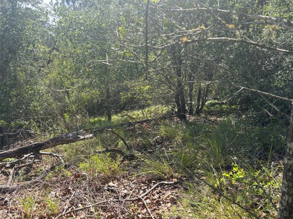 Lot 1541 Pahoiki LN, Bastrop, TX 78602