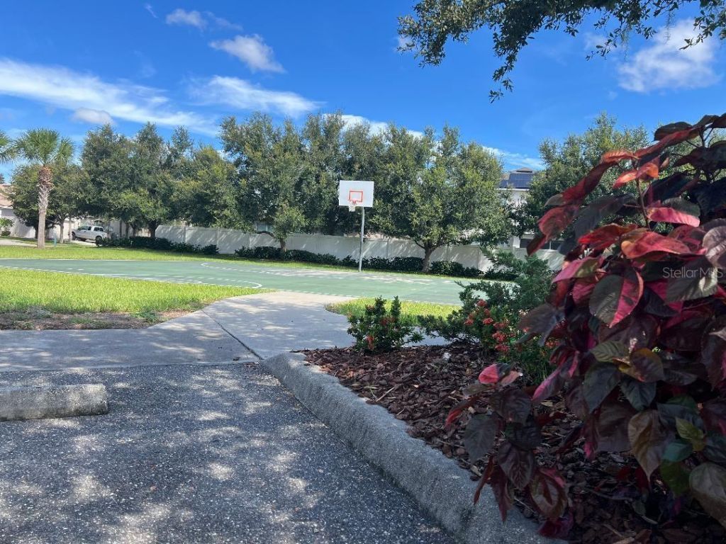 7514 Forest Mere Drive , Riverview, FL 33578 Photo