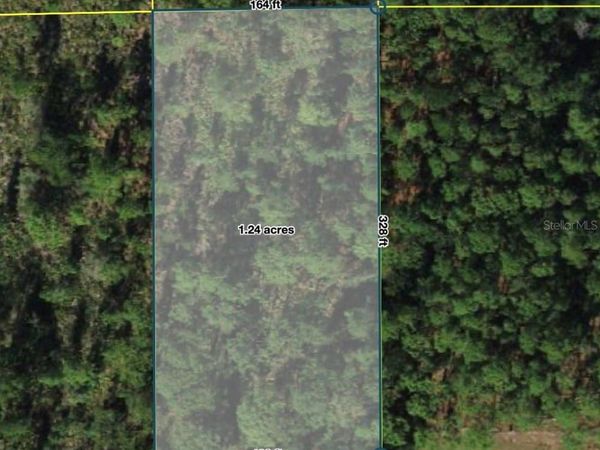 POLK CITY , POLK CITY, FL 33868