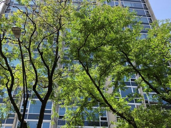 2728 N Hampden Court , Unit 1501, Chicago, IL 60614