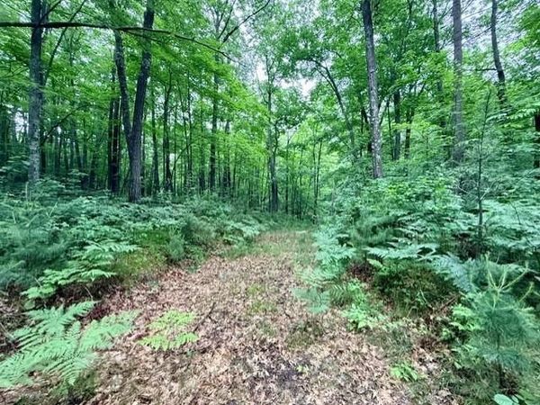 Hayward, WI 54843