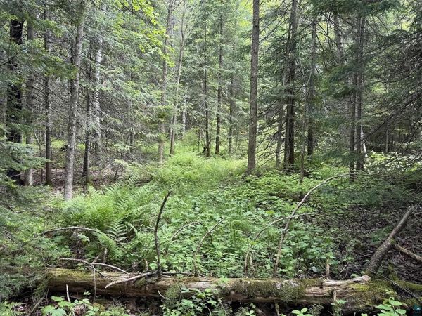 000 Jack Pine Rd, Cornucopia, WI 54827