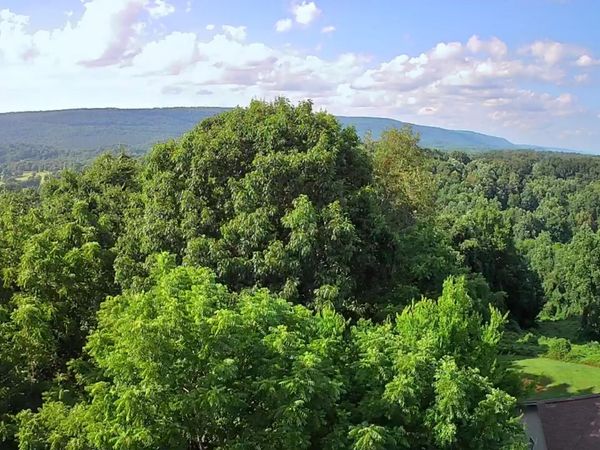 0 Ashley Lane, Dayton, TN 37321
