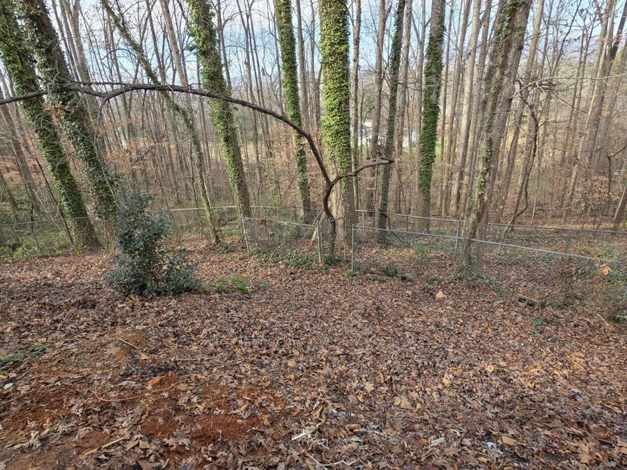Property Image 58