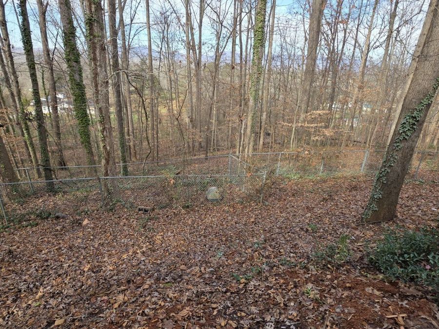Property Image 59
