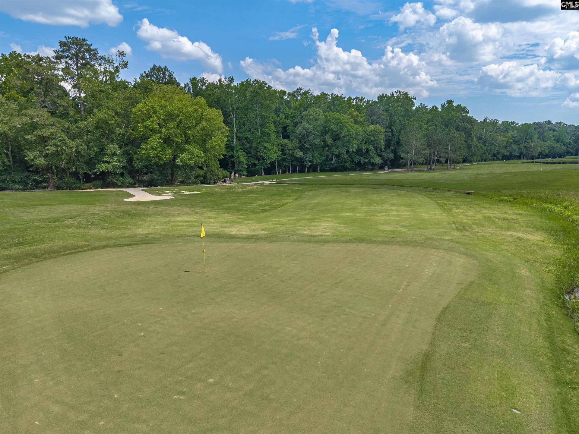 201 Muirfield Way  Photo 54