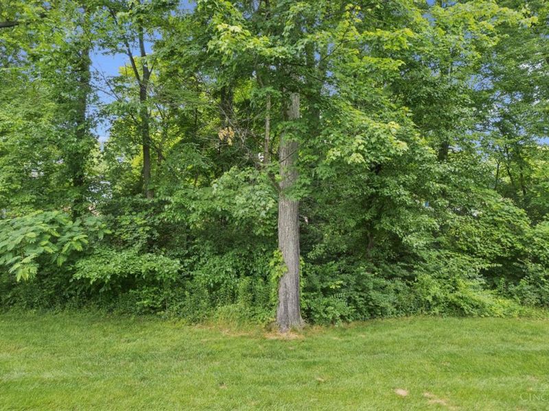 1008 Crisfield Drive, Unit 137, Union Twp, OH 45245 Photo 37
