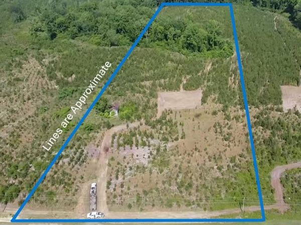 Lot 3 Attadale Rd , Blenheim, SC 29516
