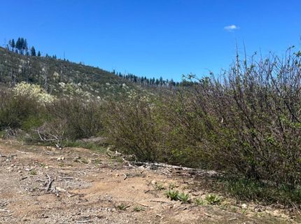 40 Wentworth Springs, Georgetown, CA 95634 Photo