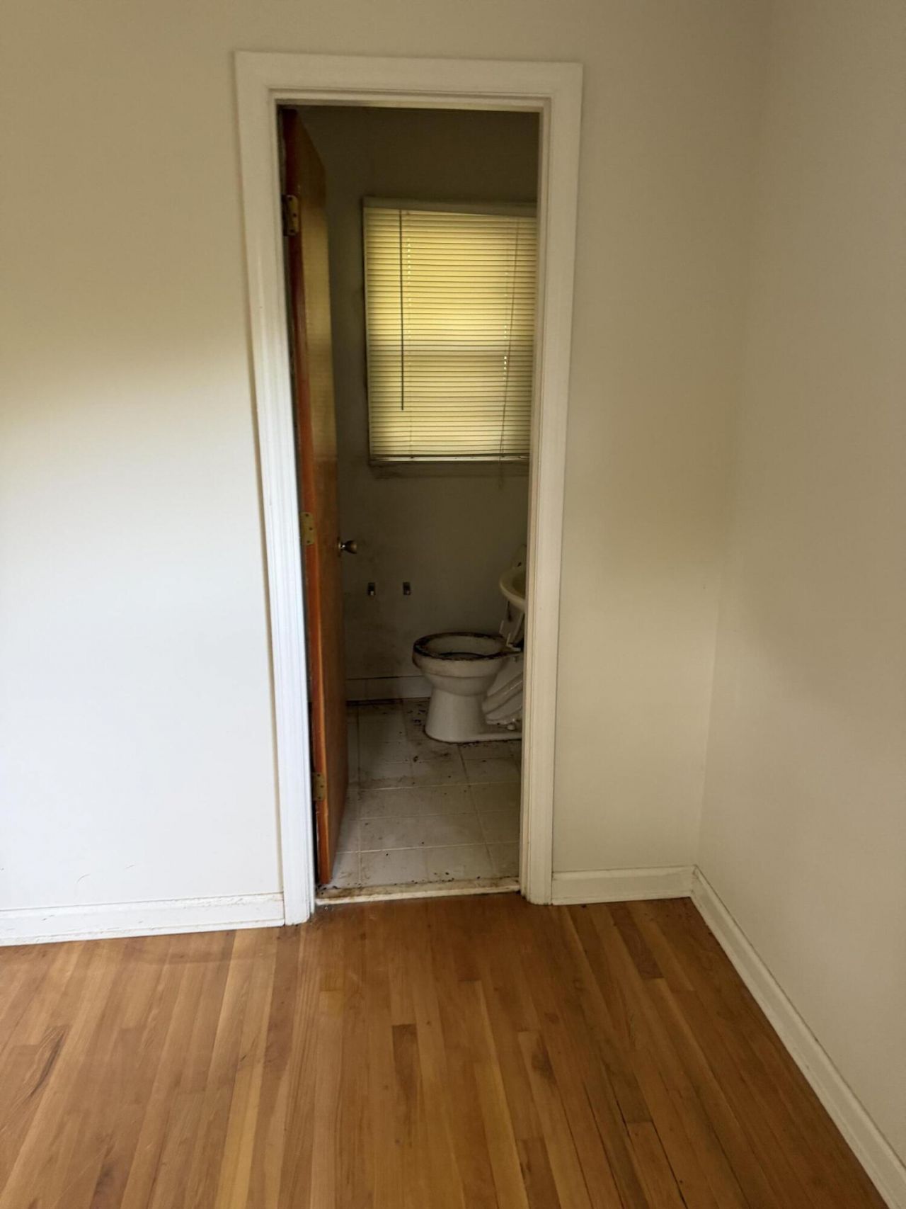 357 Harvard Court Photo 10