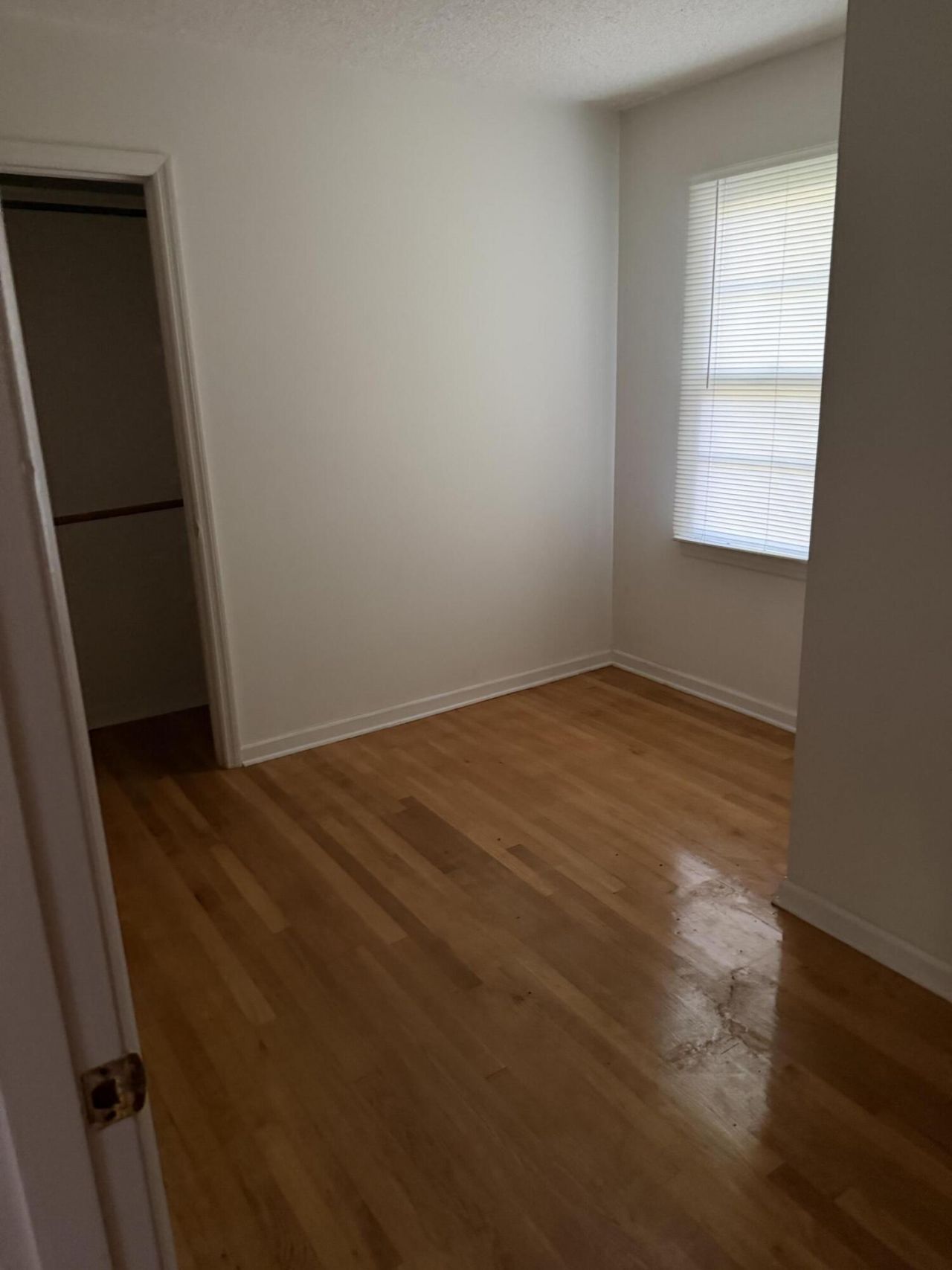 357 Harvard Court Photo 6