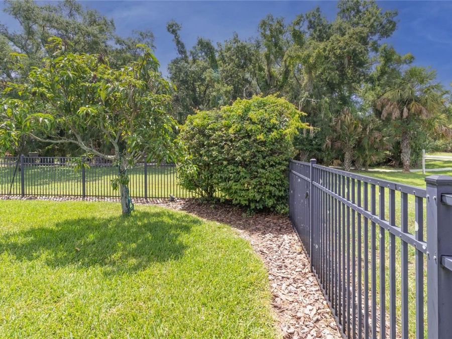 Property Image 74