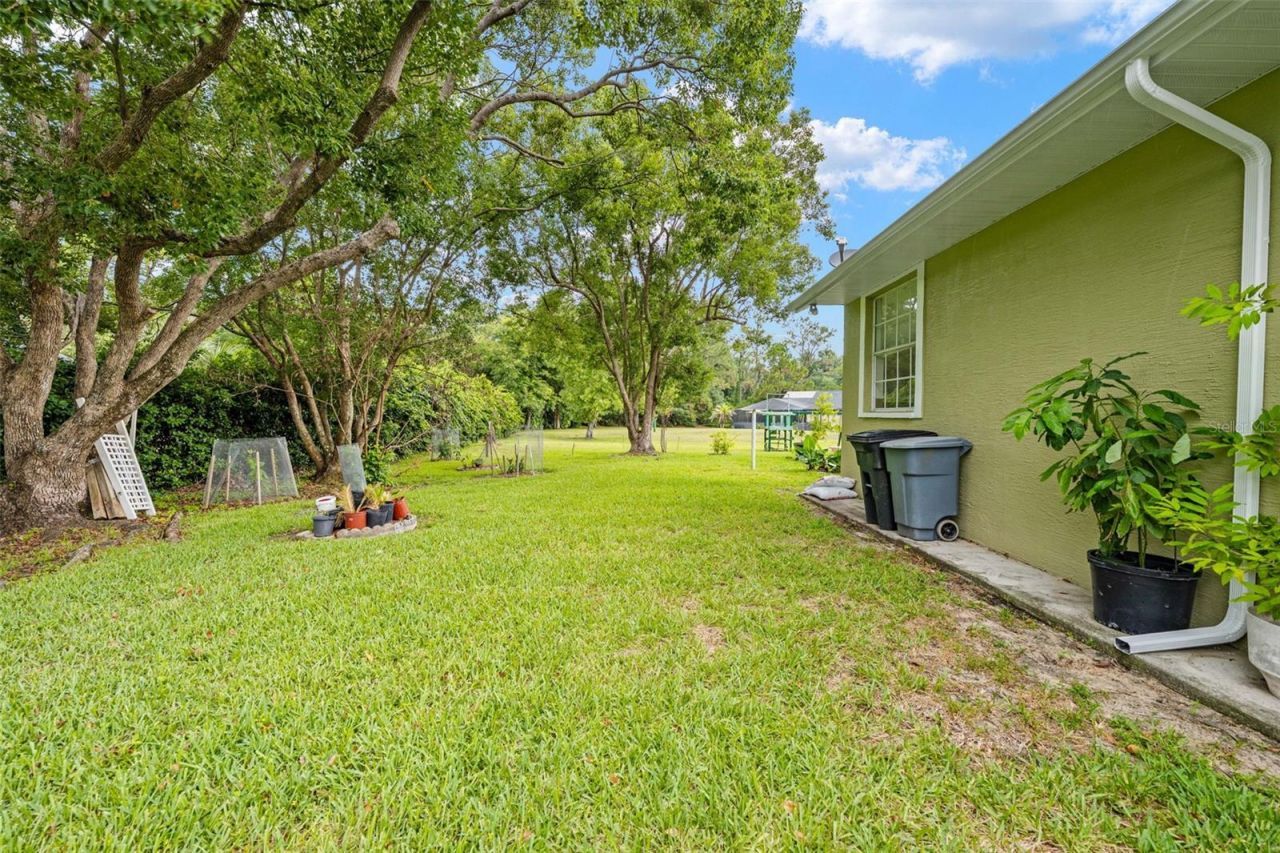 7393 Royal Oak Drive, Spring Hill, FL 34607 Photo