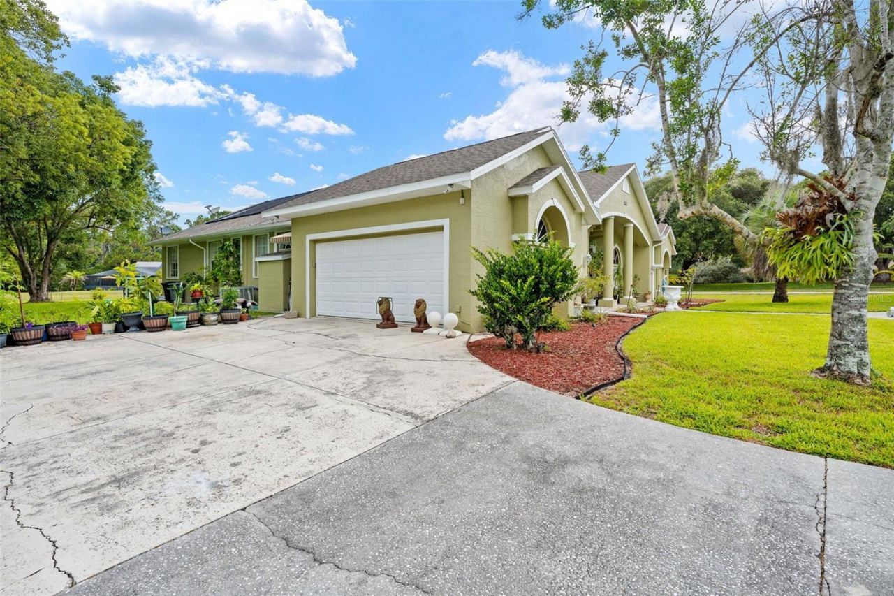 7393 Royal Oak Drive, Spring Hill, FL 34607 Photo
