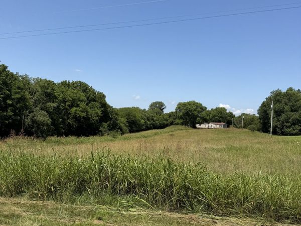 1211 Littleton Ranch Rd, Castalian Springs, TN 37031
