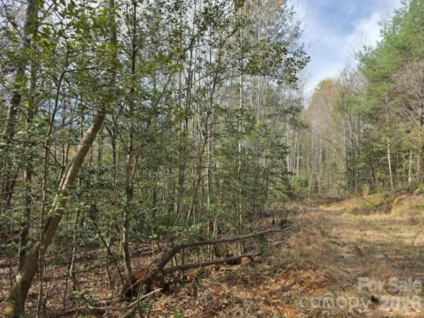 Lot 5 Kerlee Lane , Old Fort, NC 28762