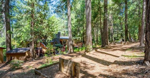 5043 Virginia Bird Mine Ct, Foresthill, CA 95631 Photo