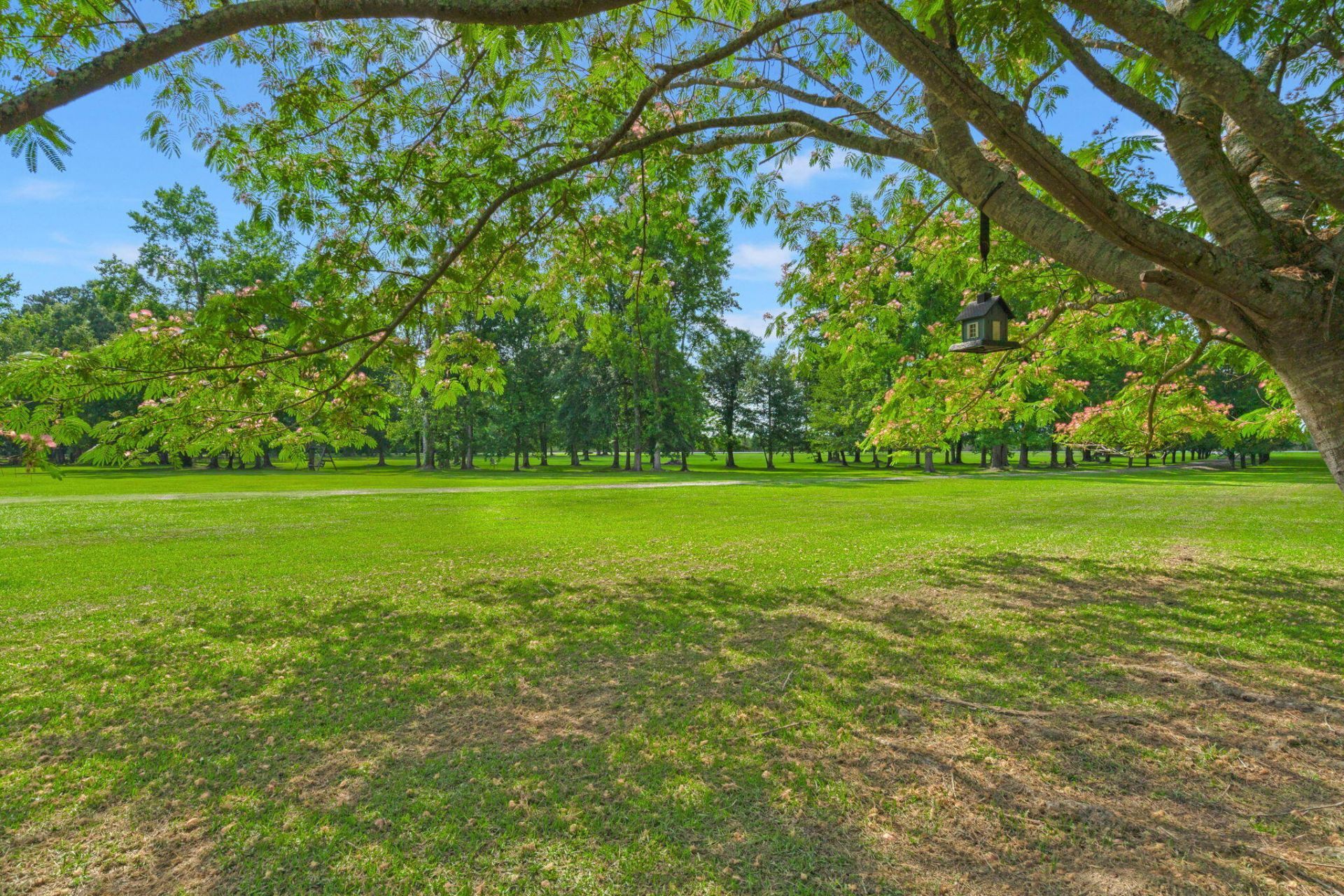 1192 N Highway 15 Photo 44