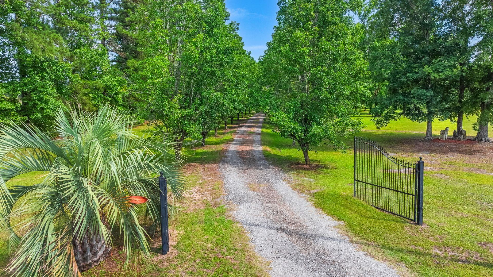1192 N Highway 15 Photo 52