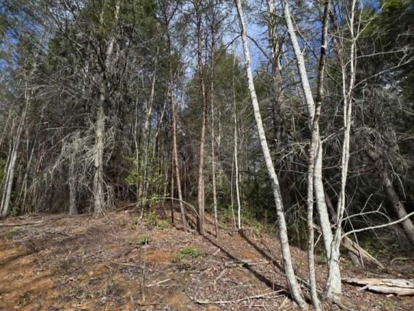 Lot 4 Kerlee Lane , Old Fort, NC 28762