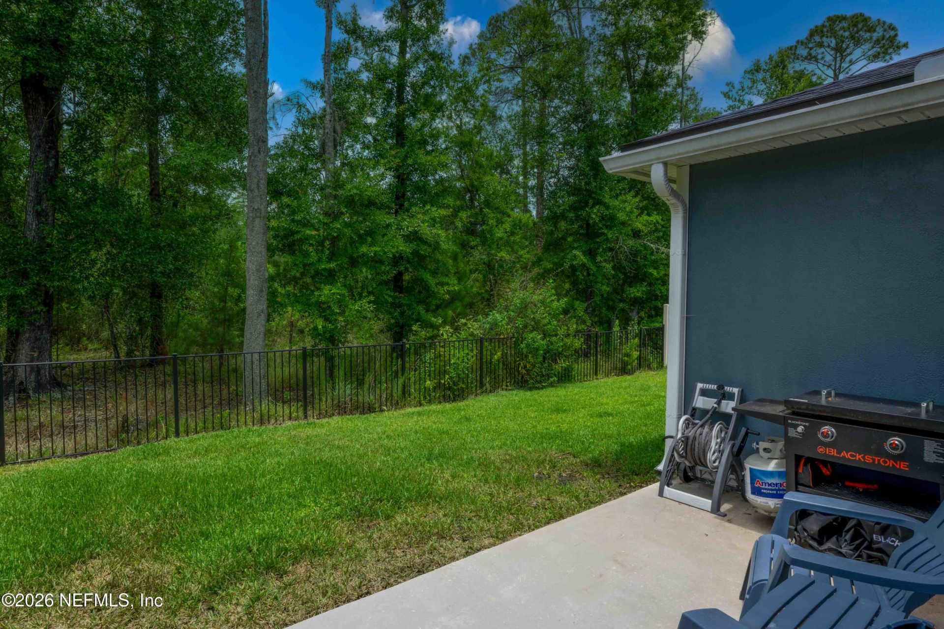 2869 Firethorn Avenue, Orange Park, FL 32073 Photo