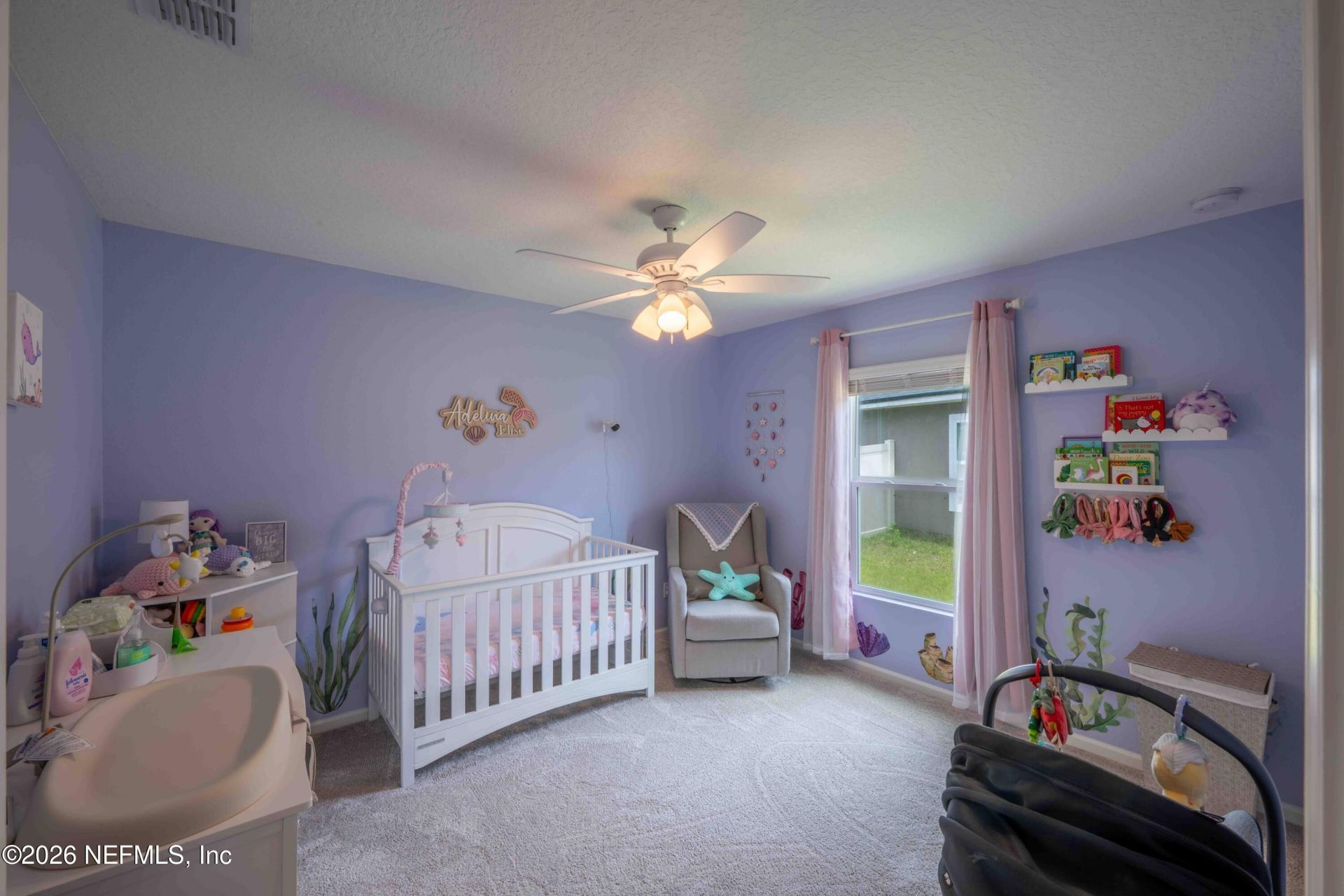 2869 Firethorn Avenue, Orange Park, FL 32073 Photo