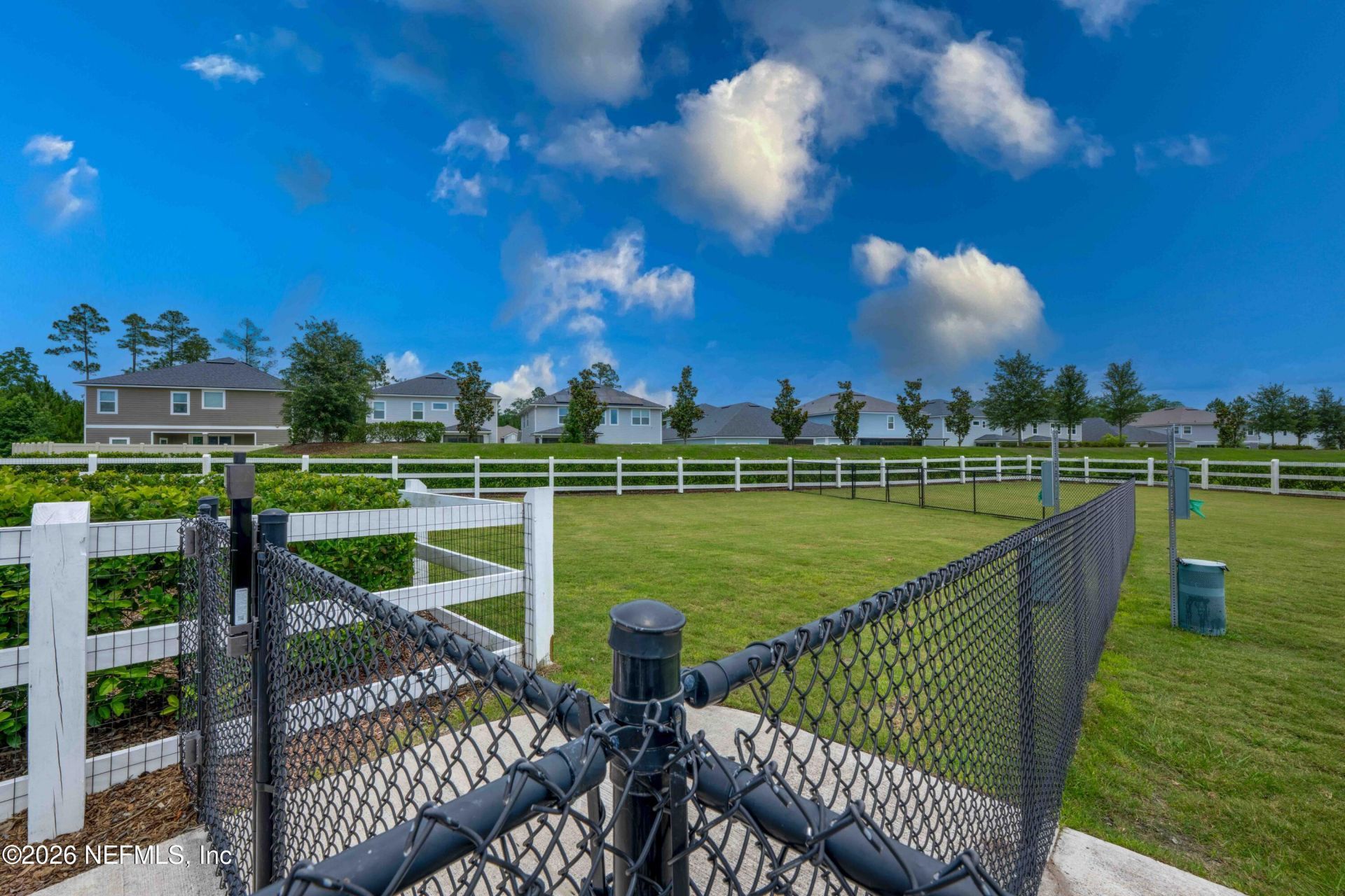 2869 Firethorn Avenue, Orange Park, FL 32073 Photo