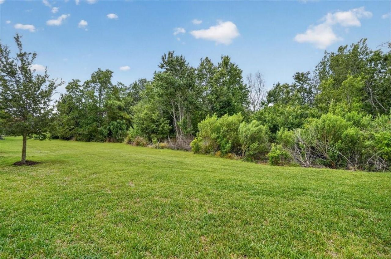 11014 Wicker Park Place , Palmetto, FL 34221 Photo