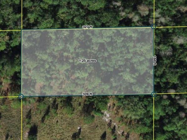 POLK CITY , POLK CITY, FL 33868