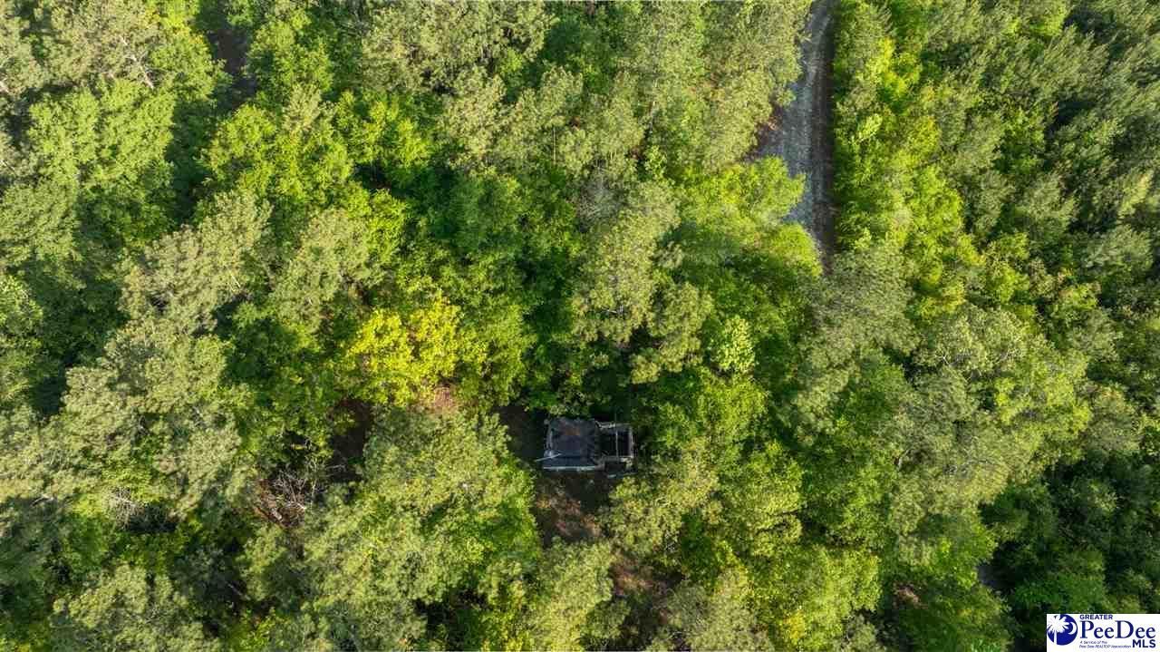 0 Ethridge Photo 26