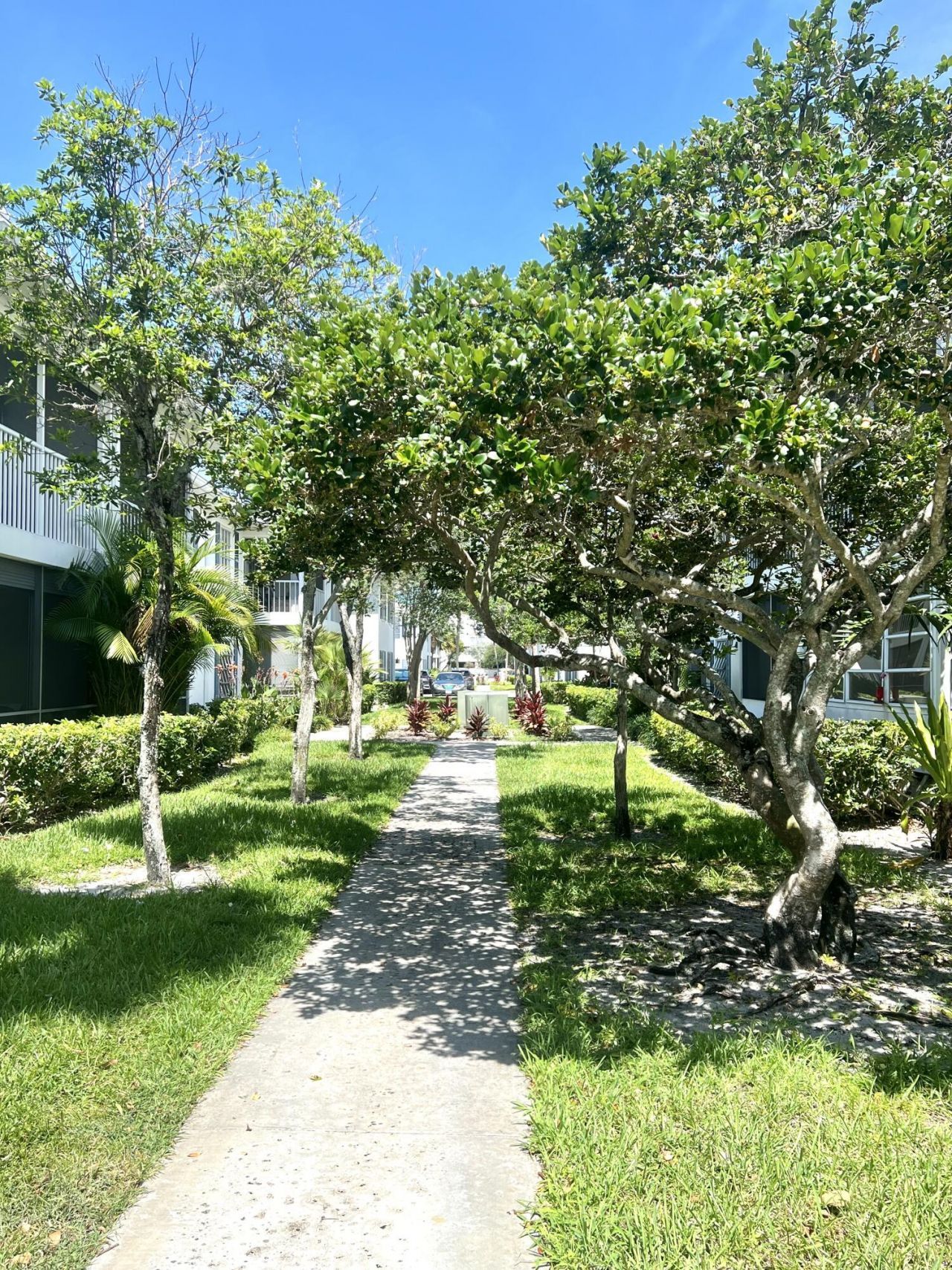 2201 NE 66th Street, Unit 1306, Fort Lauderdale, FL 33308 Photo
