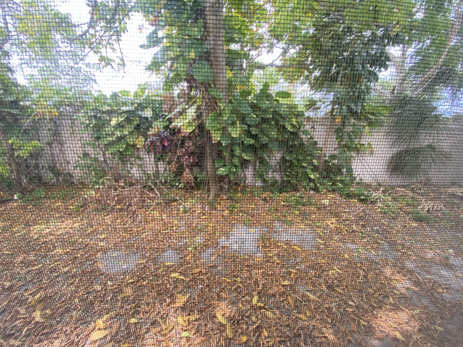 5139 NW 43rd Court, Lauderdale Lakes, FL 33319 Photo