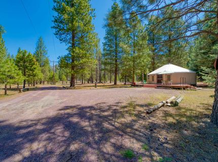248 Back Acres Court , Greenville, CA 95947 Photo