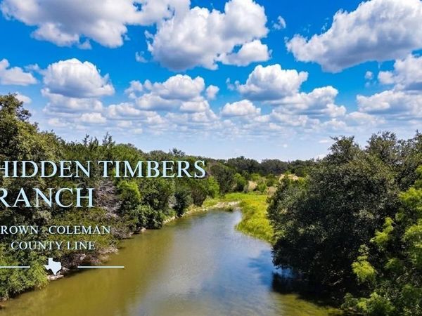 12493 County Road 222 , Brookesmith, TX 76827