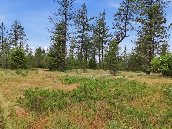 XXX W Highland Rd, Nine Mile Falls, WA 99026