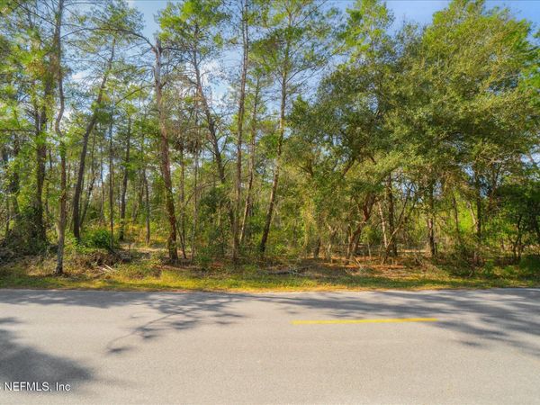 1027 PINEAPPLE Street, Welaka, FL 32181